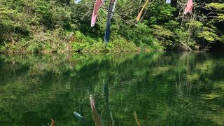 鯉のぼりが沢山