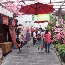 敷地内の風景：日本の世界