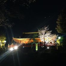 夜の月の松