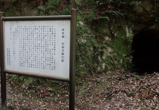 安福寺との直接関係は無いものの、お互いに雰囲気を醸し出している