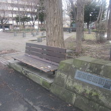 入口付近から眺めた緑地の様子