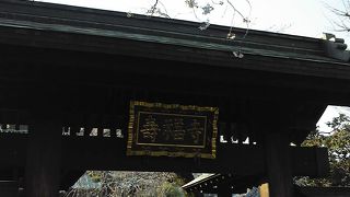 ソメイヨシノも