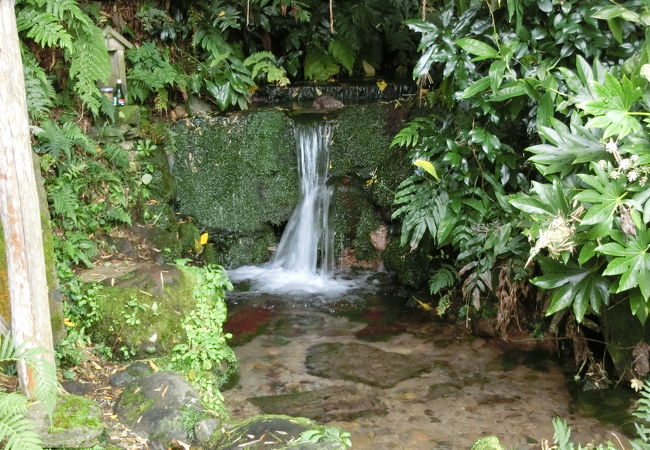 茅葺の水車小屋が建つ名水の池