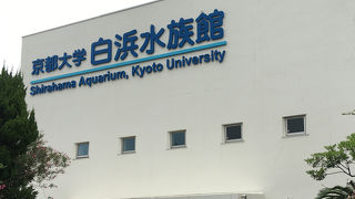 コンパクトですがユニークな展示も有り。