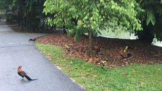 シンガポールの世界遺産