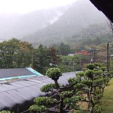 茶芸館から見る陽明山の風景