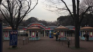 初スケート体験