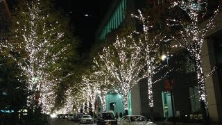 街路樹のイルミネーション