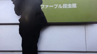 面白そうだったので