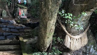 レプリカと聞いていましたが