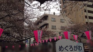 運営もしっかりしている