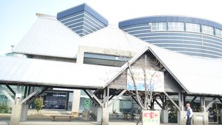 新潟のお土産が揃います