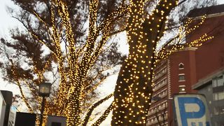 毎年楽しみにしてます