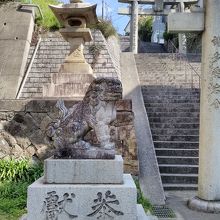 左側の狛犬