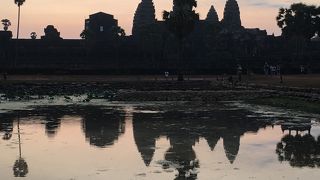 その規模の大きさに驚きます。