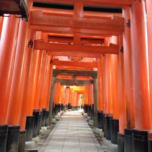 誰もいない鳥居