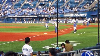 野球観戦