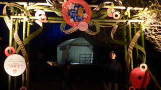 2019年桜開花宣言し桜まつり開始した舞鶴公園を訪れました。