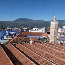 西側は屋根ビュー