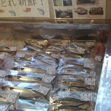 新鮮な鯖が並んでます