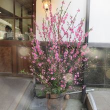 入り口の雰囲気も良かったです