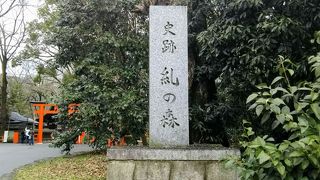 下鴨神社の鎮守の森「糺の森」