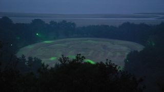 なんとなく光ってる