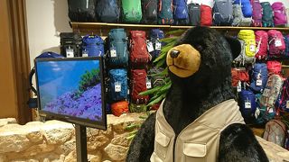 アウトドア登山用品専門店 By ロンさん モンベル ららテラス武蔵小杉店 のクチコミ フォートラベル