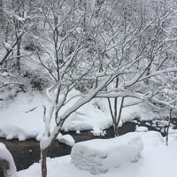 一夜明けての雪景色