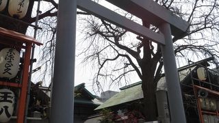 まずお参りします