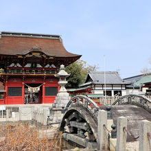 蓮の花が咲く頃は美しい景色