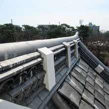 菊の御紋を間近で確認できました