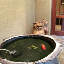 金魚が出迎えてくれる。