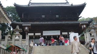 本物の馬がいた