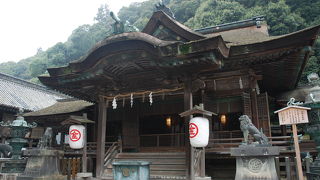 本宮とはやっぱり違う