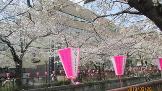 美味しい珈琲が飲める。