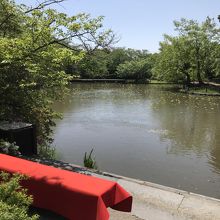 神苑の方から見た源平池