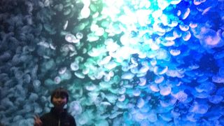 オンシーズン始まってすぐで空いてた！