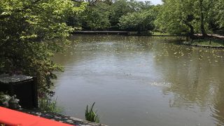 「源氏池」と「平家池」