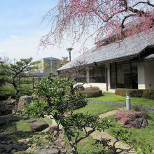 庭園は綺麗で…