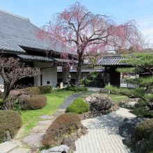 写真を撮りに来られた方の姿もありました