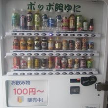 100円のドリンクが並ぶ自販機も嬉しいですね( ´∀｀ )