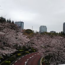 みんな写真を撮っていました