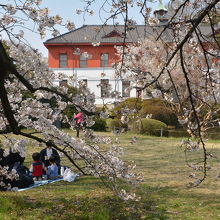 日本庭園の桜