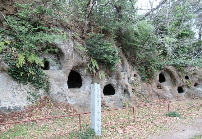 東日本最大級の横穴墓群