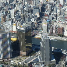 「真ん中の光ったビルがアサヒビール本社、その右のビルが墨田区