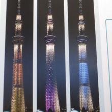 ライティングを１日ごとに変えて点灯している