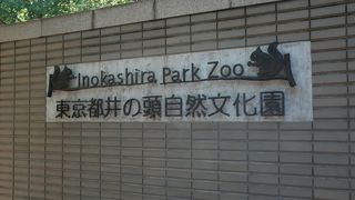 結構いろんな種類が