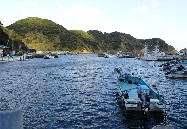 半日の島散歩