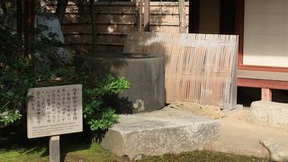 近くで見れない